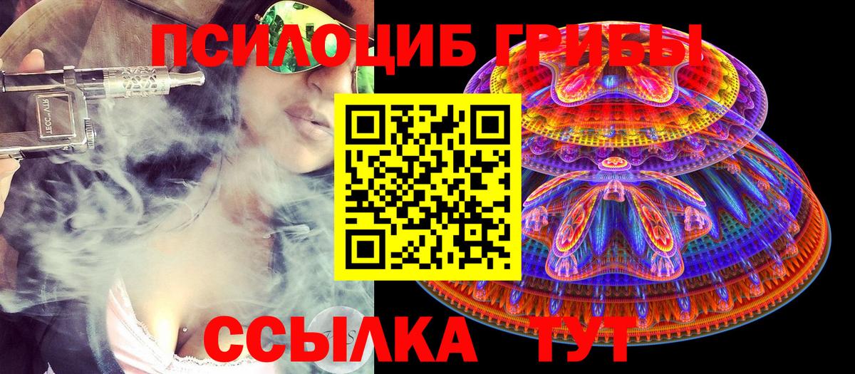 Тайшет  Псилоцибиновые грибы Psilocybine cubensis  купить наркоту  Вход с VPN 