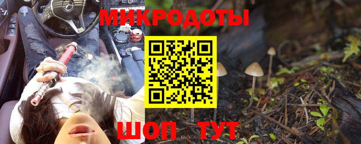 Галлюциногенные грибы мухоморы Тайшет